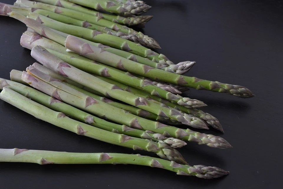 Newly Harvested Asparagus on a black table during the harvesting season after successfully growing asparagus