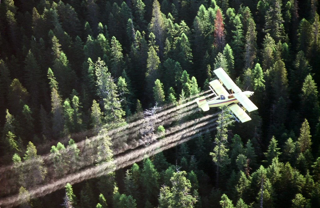 Turbo Cat aircraft applying Bacillus thuringiensis for Western spruce Armyworms control project