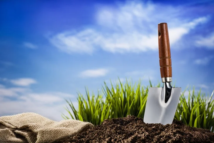 Planting plant in the middle of the scorching heat of the sun