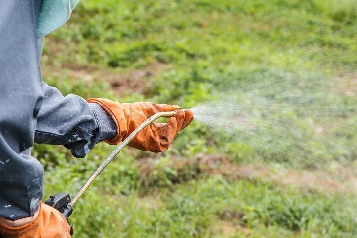 Round-up is a popular root killer herbicide