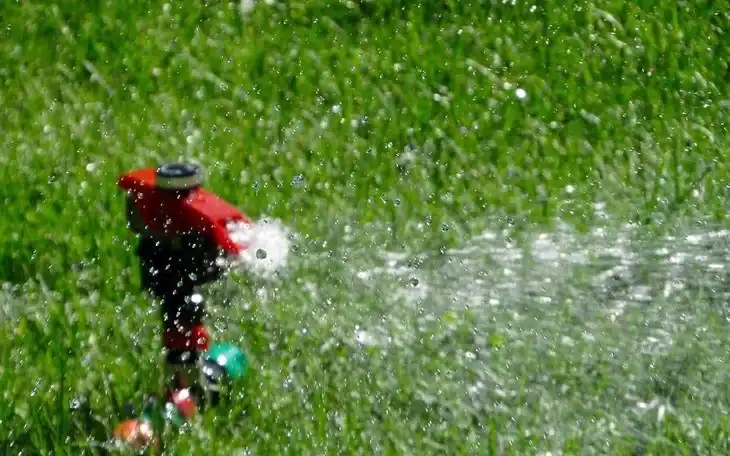 showering water all over the lawn to soften the soil