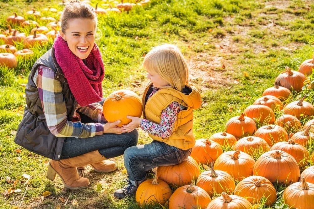what-animals-eat-pumpkins
