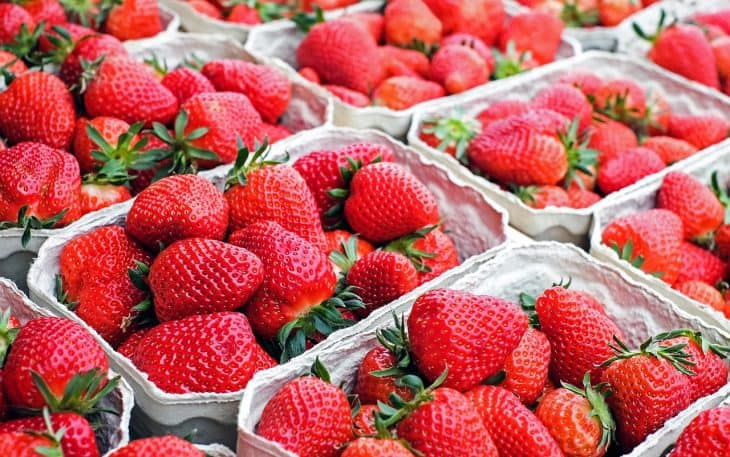 what-is-eating-my-strawberries-2