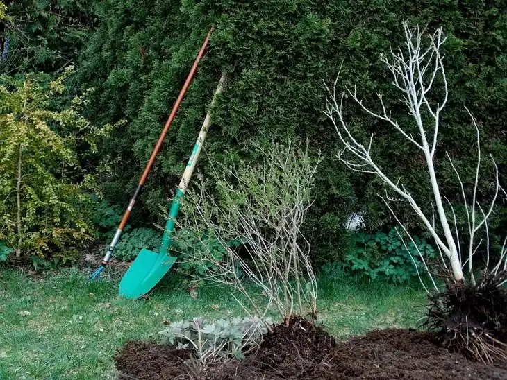 Tools such as spade and fork are essential in gardening.