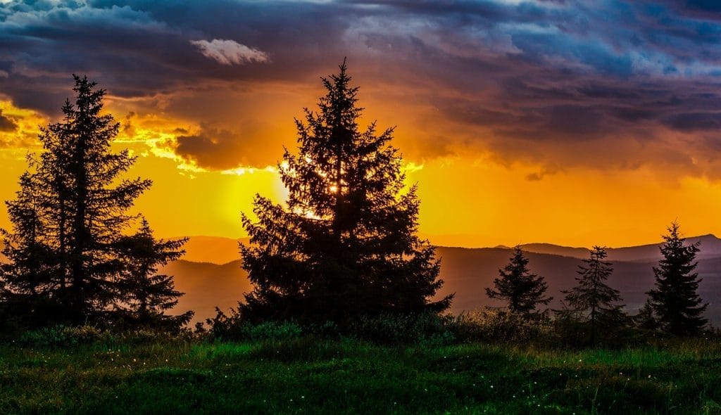Sunset with a shade of tree
