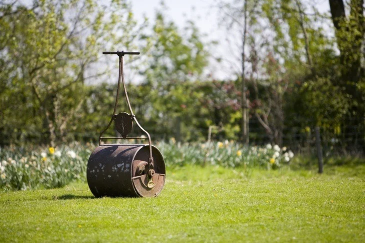 Use a lawn roller to make a well-leveled lawn