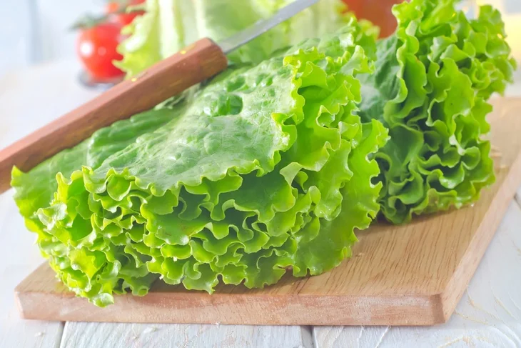 What plants can grow in hydroponics - Lettuce is one of the most common crops that are best grown hydroponically