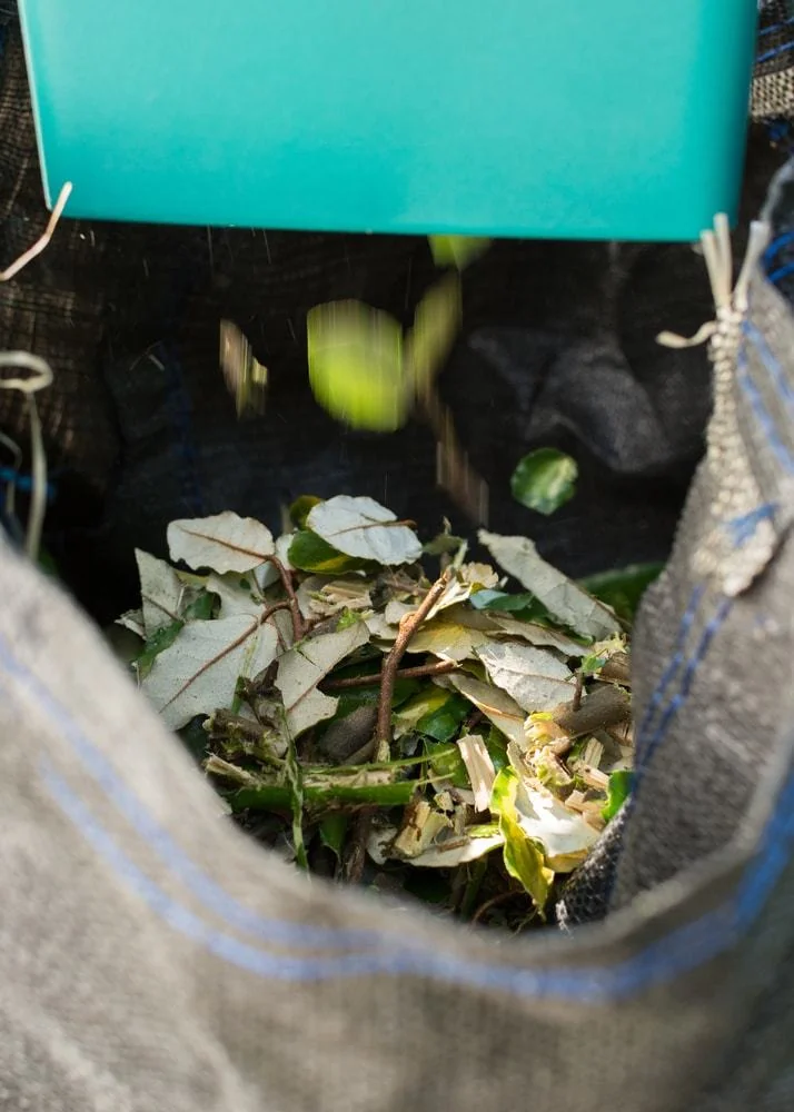 When using a leaf shredder, you should not put too many leaves at a time to ensure that the machine would be able to suck and shred them