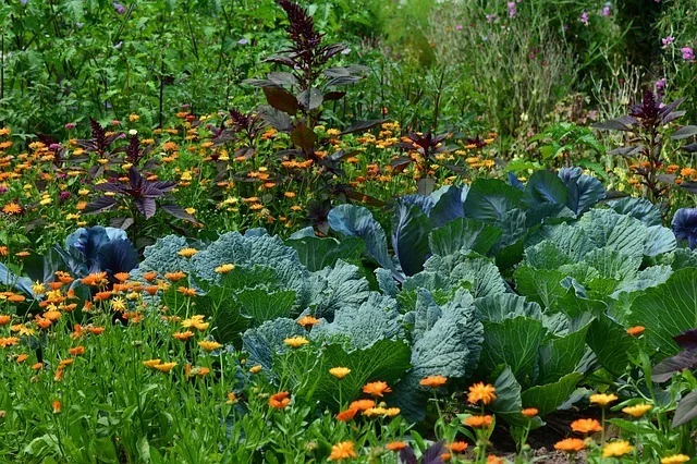 a square foot garden spacing with flowers and vegetables