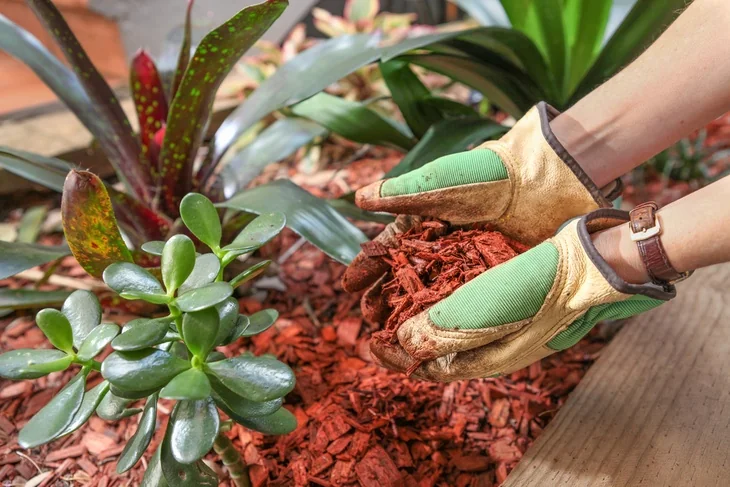 Wood chips can also be included as part of your covering.