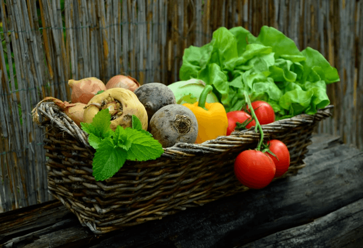 Worm castings help produce healthy crops