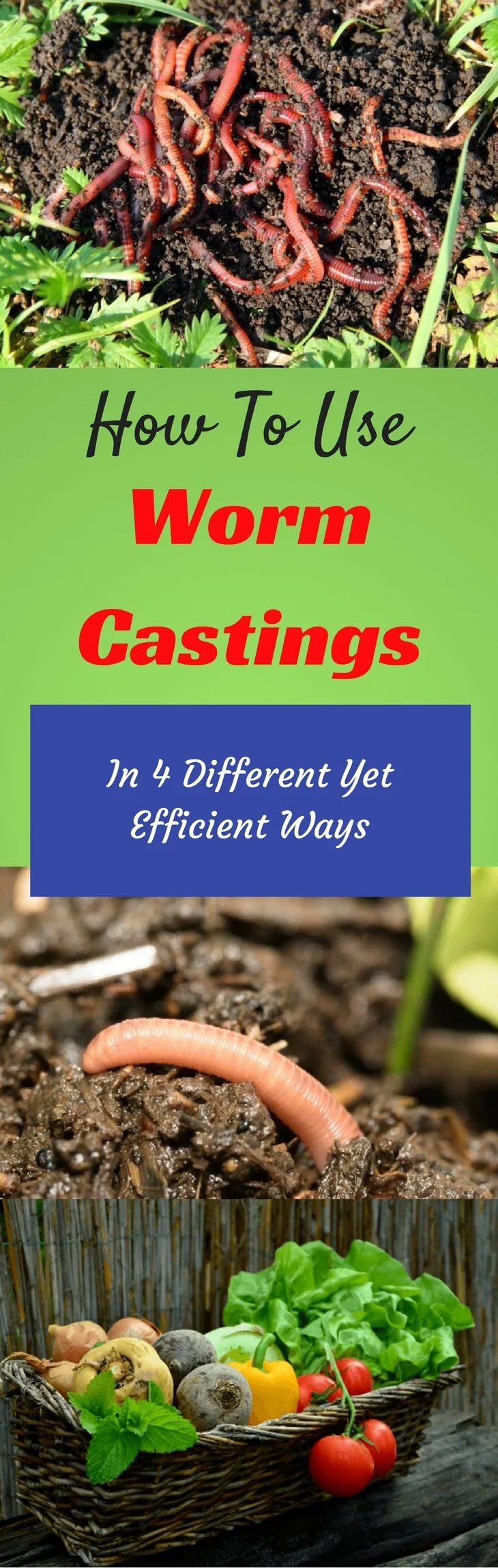 Worm Castings