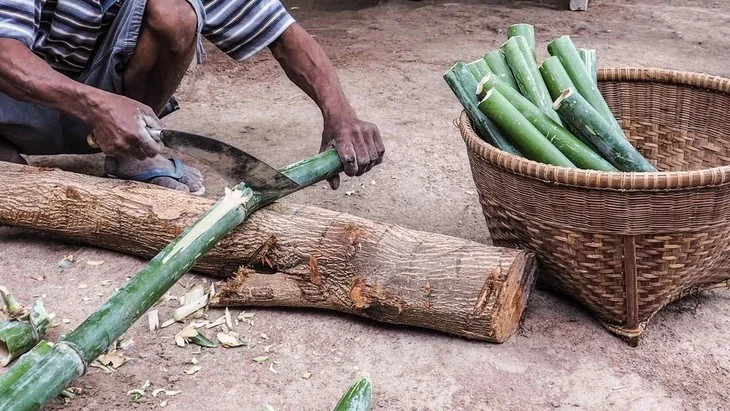You can use any cutting tools to cut bamboo culms