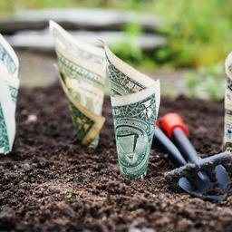 Is gardening expensive? Says who?