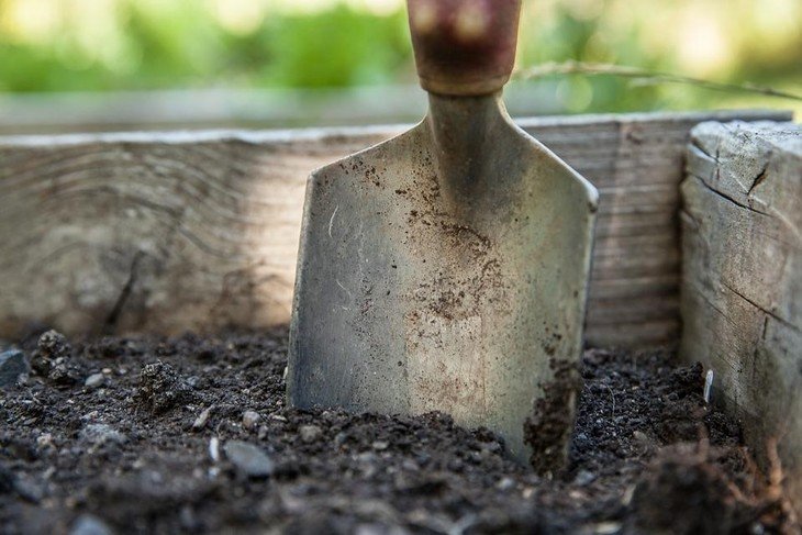 A small spade half dug into the dark, moist soil