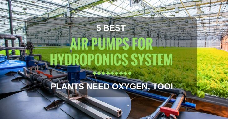 Best Air Pumps For Hydroponics 1