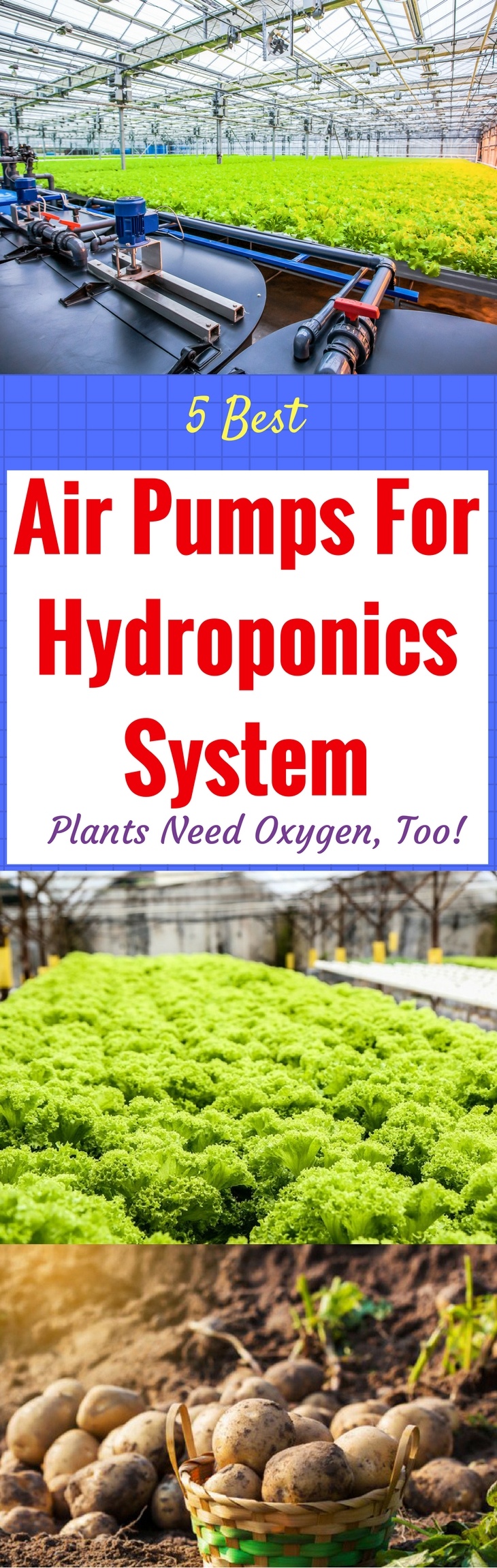 Best Air Pumps For Hydroponics-pin it-1