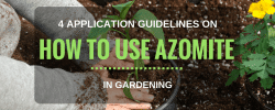 How to Use Azomite in Gardening
