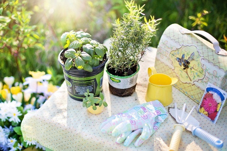 Keeping your gardening tools clean and organized will help you care for your plants better