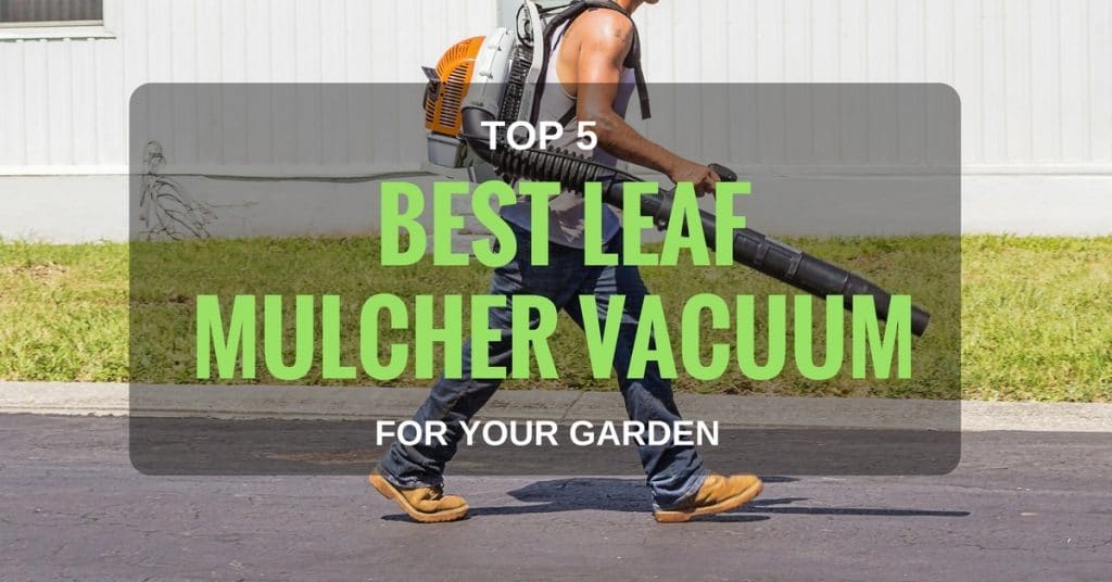 5 Best Leaf Mulcher Vacuums | Reviews 2022
