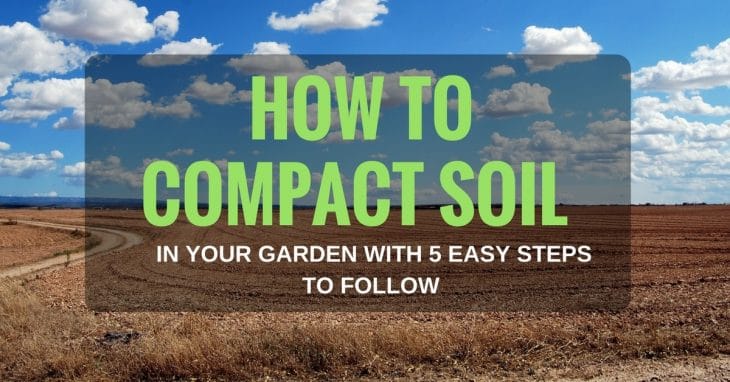 how to compact soil