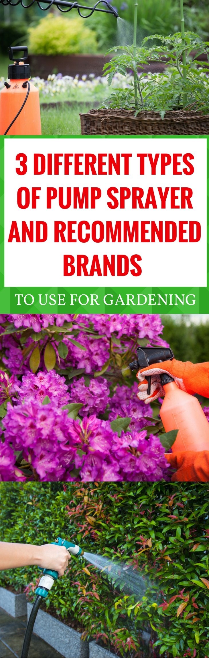 3 DIFFERENT TYPES OF PUMP SPRAYER AND RECOMMENDED BRANDS TO USE FOR GARDENING pin it