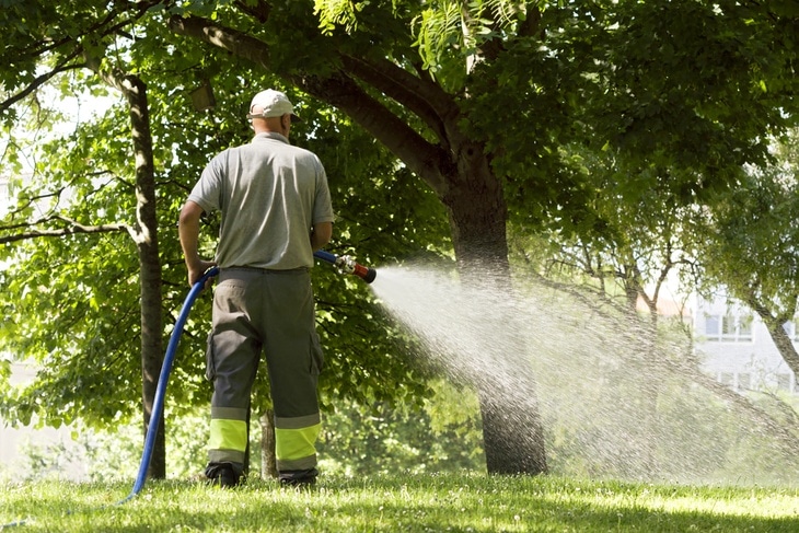 A gardener spraying water on his front lawn
