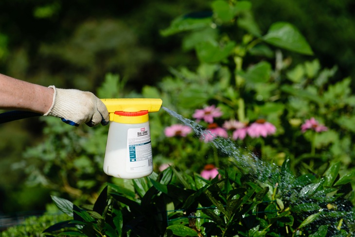 A pump sprayer makes spraying chemicals not only safe but also easy