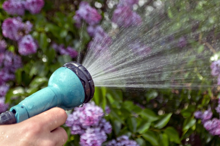 Hose nozzles make garden watering tasks much easier for gardeners