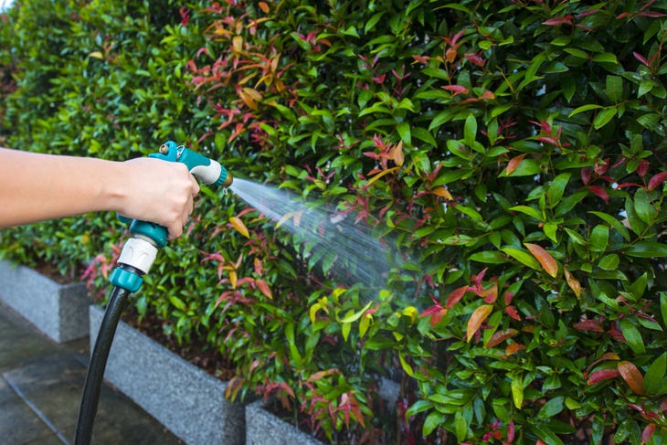 Sprayers are an essential tool in any garden