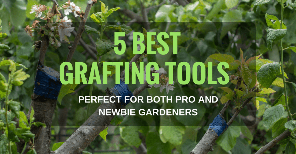 5 Best Grafting Tools Perfect For Both Pro And Newbie Gardeners