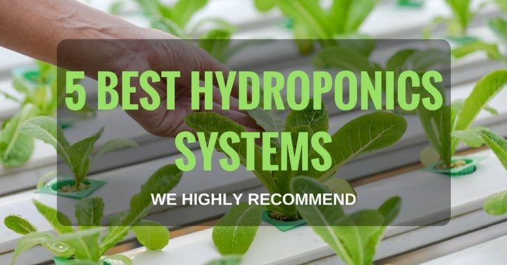 5 Best Hydroponics Systems We Highly Recommend 1