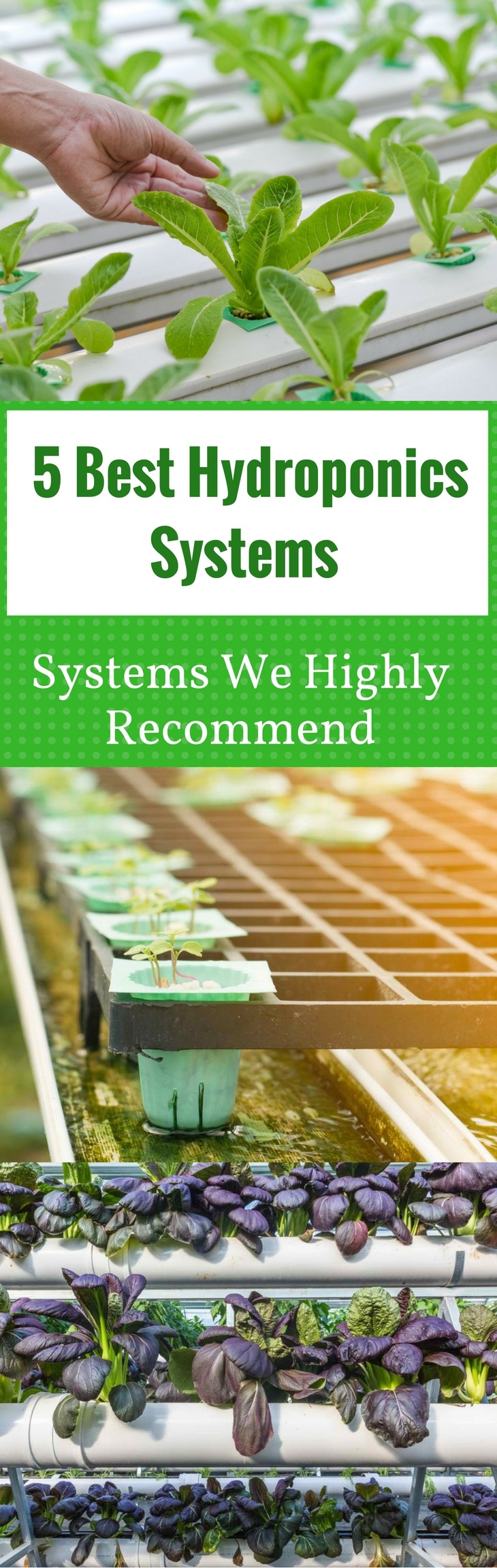 5 Best Hydroponics Systems We Highly Recommend pin it