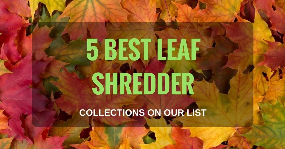 5 Best Leaf Shredder Collections on Our List 1