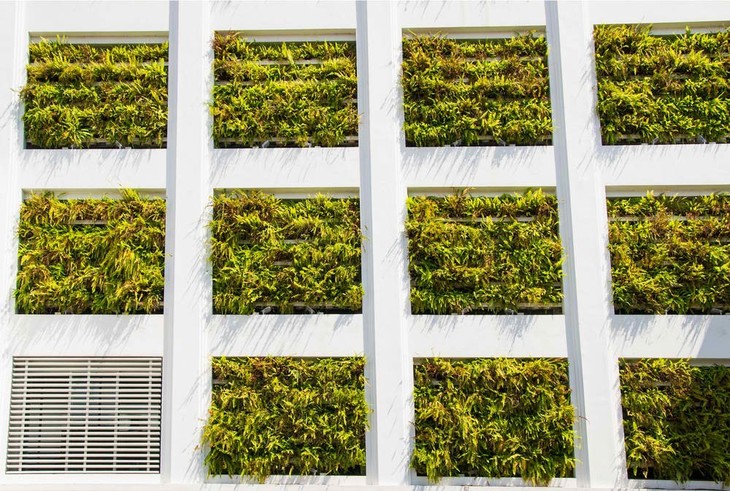 A maximized city building with hydroponics plants on its windows