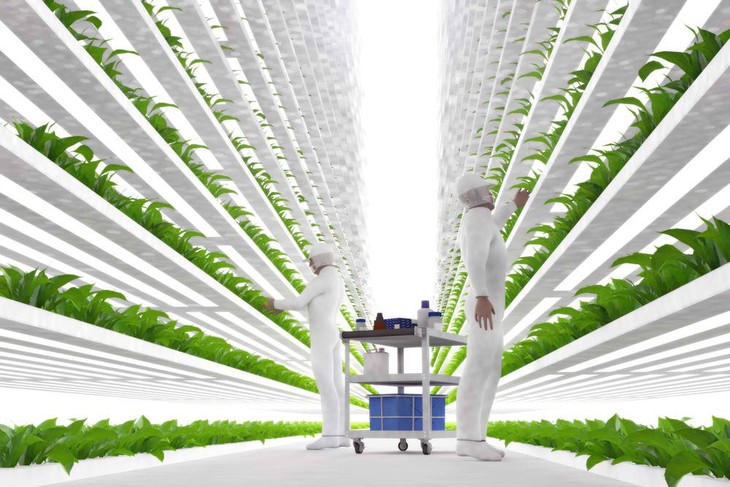 A modern vertical farming system with the plant food production in multiple layers stacked vertically
