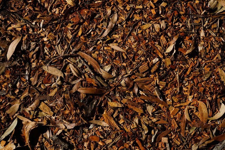 Leaf shredders can quicken the decomposition process of the leaves