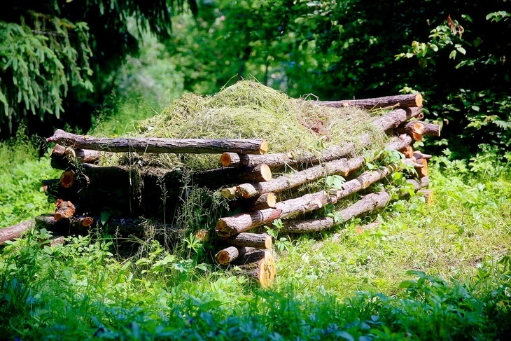 A big wooden box of compost heap in a yard filled with grass and plants