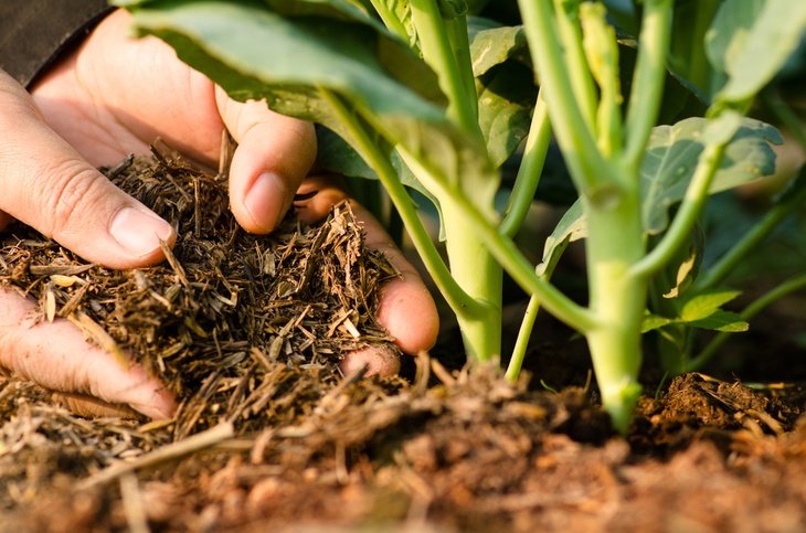 Applying layers of organic materials will nourish the garden soil.