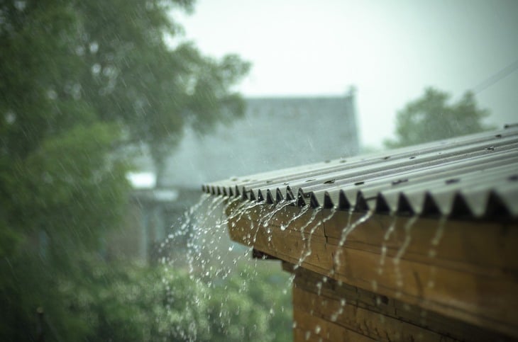 Avoid collecting rainwater from your roof pipe as this could be contaminated.