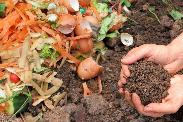 Compost is a good source of essential nutrients needed for growing tomatoes and other plantsCompost is a good source of essential nutrients needed for growing tomatoes and other plants - best fertilizer for tomatoes