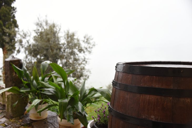Wooden rain barrels have great design but are not that durable.