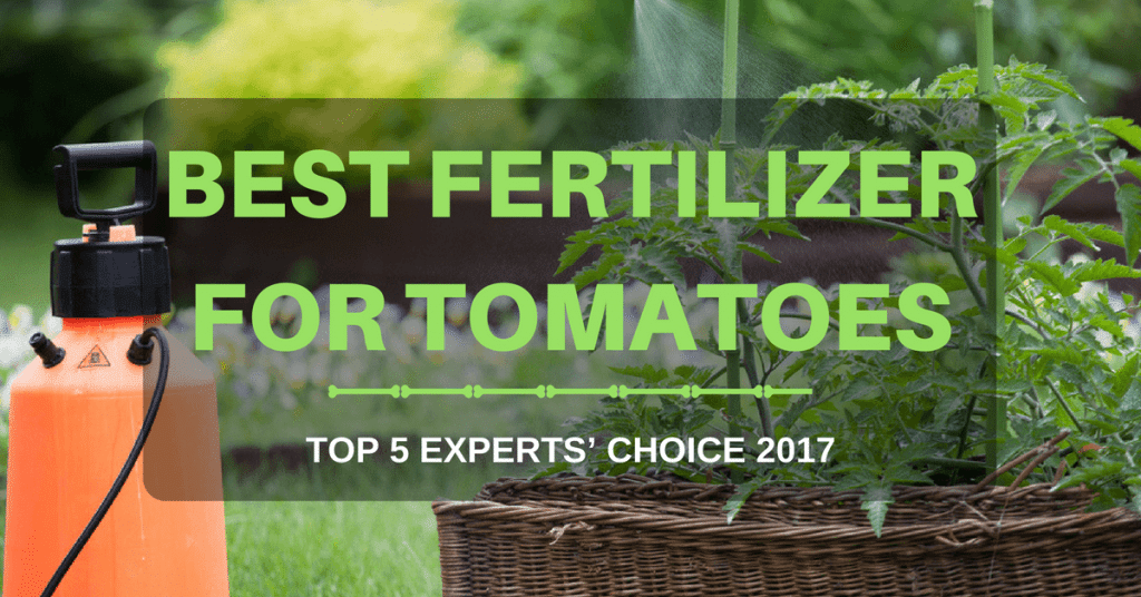 The Best Fertilizer For Tomatoes: Top 5 Experts’ Choice