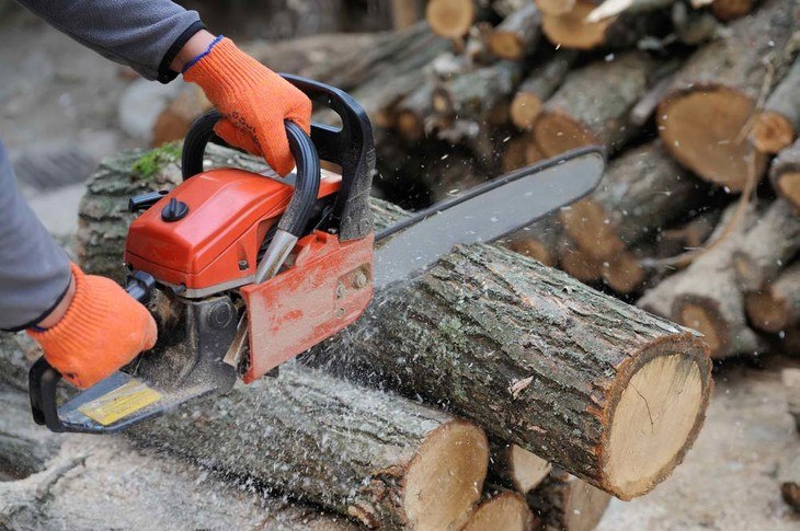 A lumberjack cuts through a log using a gas-powered chainsaw
