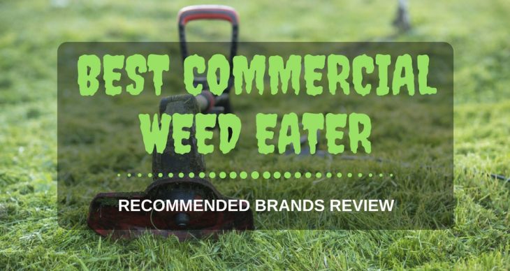 Best Commercial Weed Eater 2018: Recommended Brands Review