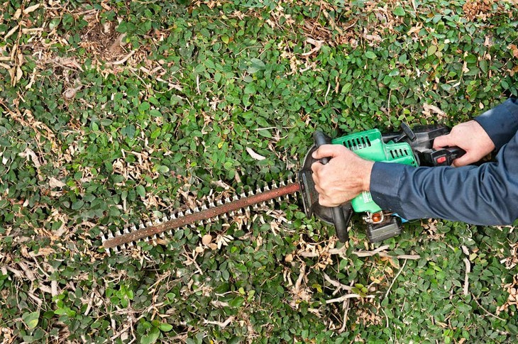 Blades are important in determining the best gas hedge trimmer