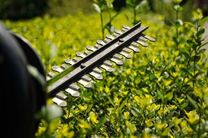 To prevent fatigue, look for hedge trimmer which has a wrap-around handle, especially when used for for boxwood