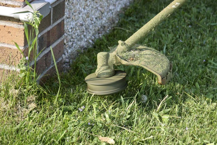 Weed eaters are very useful in keeping our lawn beautiful