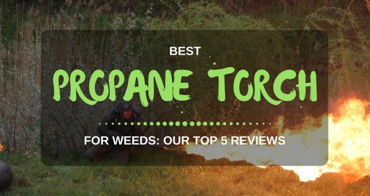 Best Propane Torch For Weeds Reviews & Buyer’s Guide