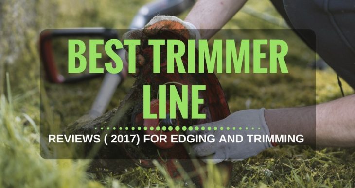 Best Trimmer Line For Edging and Trimming: 2018 Reviews